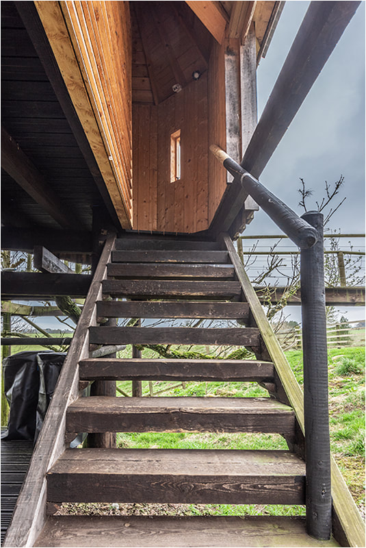 Stairs to toilet of romantic getaway glamping treehouse
