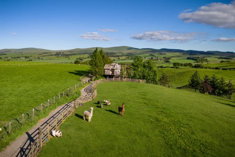 Ash Tree Howf overlooking alpacas and countryside at Craighead Howfs in Perthshire, Scotland